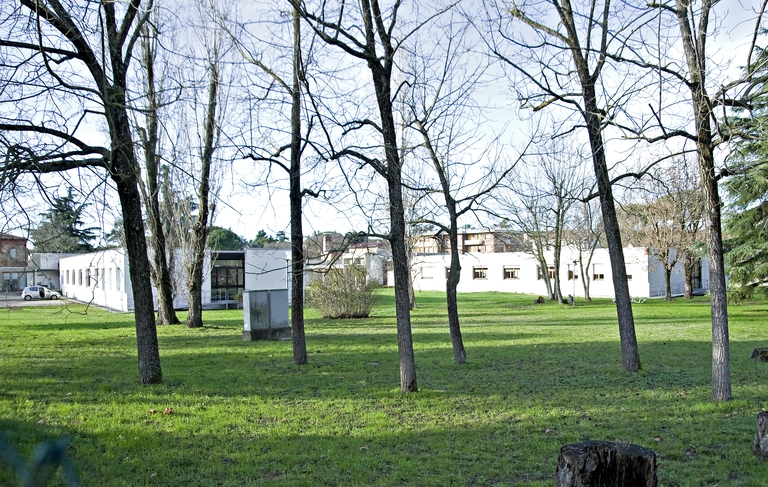 Centro neuropsicologico Silvio Alvisi (Imola) 